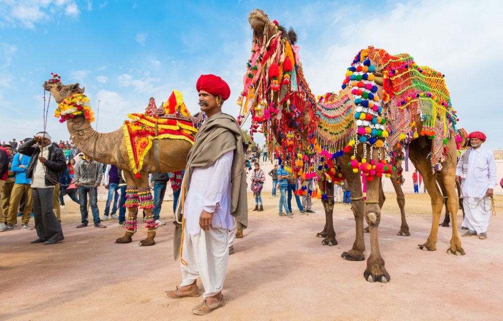 Pushkar Camel Safari